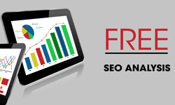 Free SEO Analysis