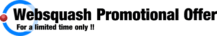 Promotional Search Engine Submission Offer